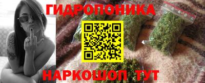 соль ск Пушкино