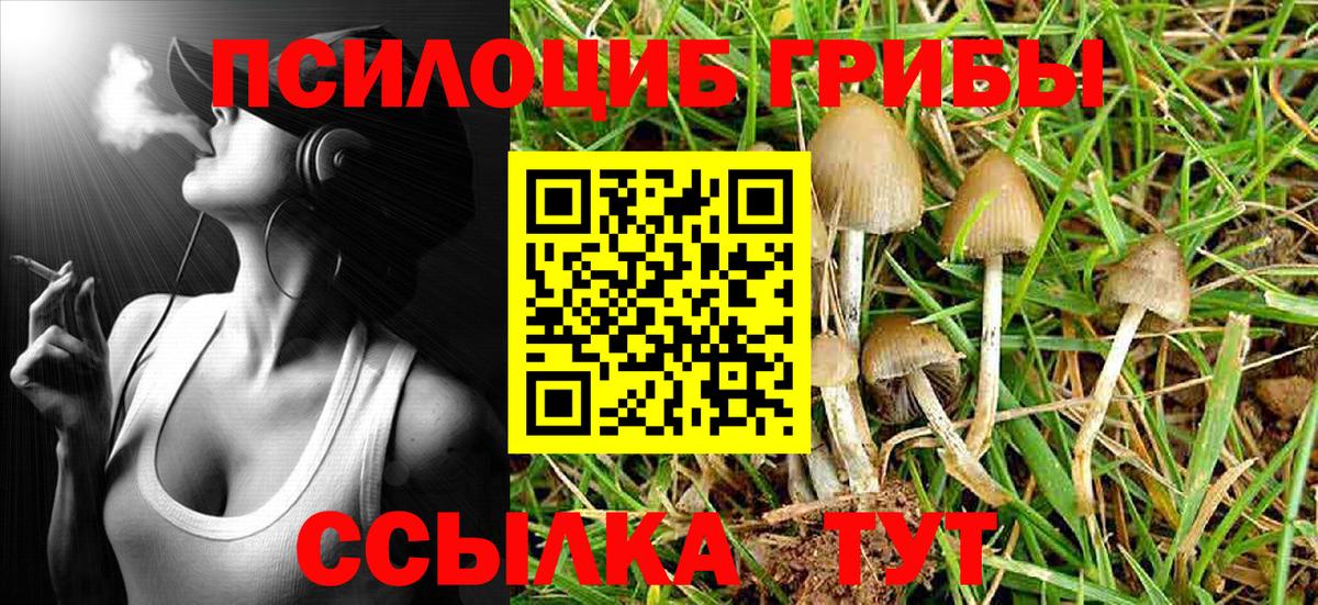 Галлюциногенные грибы Magic Shrooms Тамбов