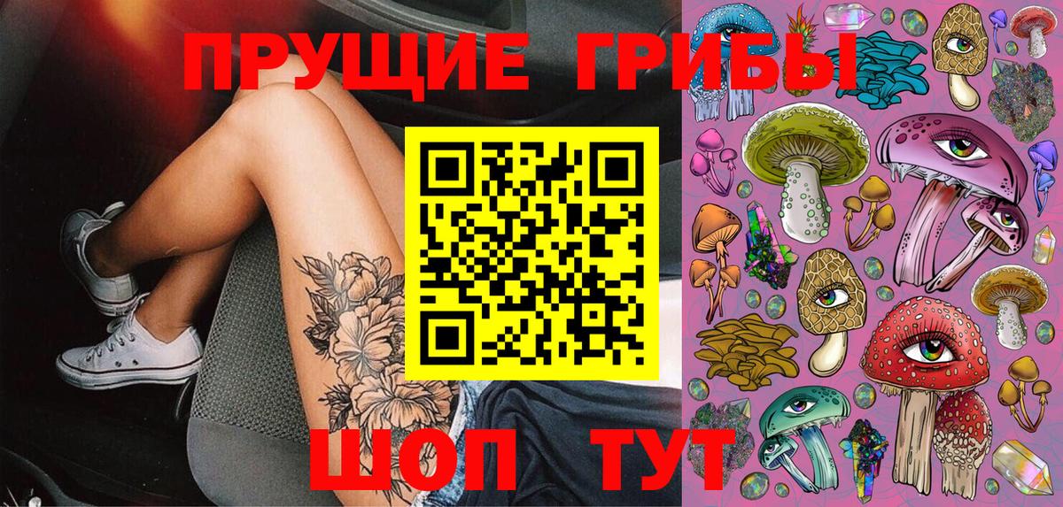 Галлюциногенные грибы Psilocybe  Псилоцибиновые грибы мицелий  Тамбов  Вход с VPN 